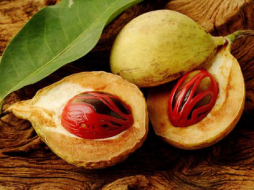 Nutmeg/ Kungumanga/ Jaiphal